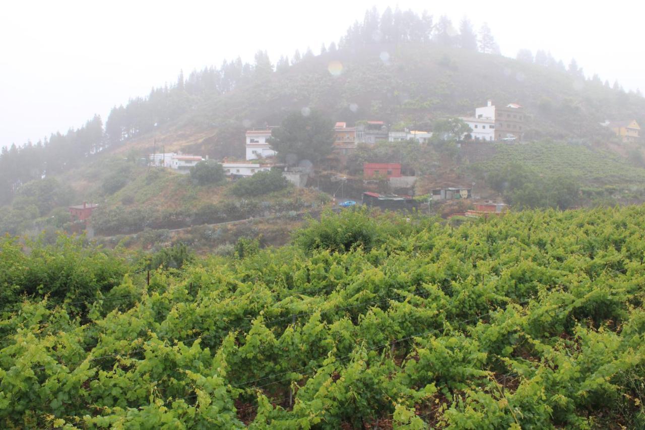 Finca El Cole Las Palmas Exterior photo